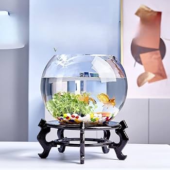 Amazon | 金魚鉢 大型水槽 金魚 水槽 テラリウム 水槽 厚くされ